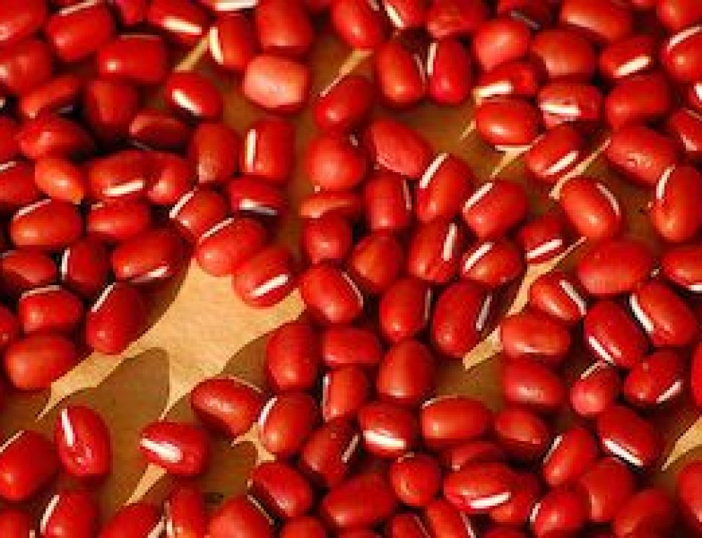 Comment cuire les lentilles vertes